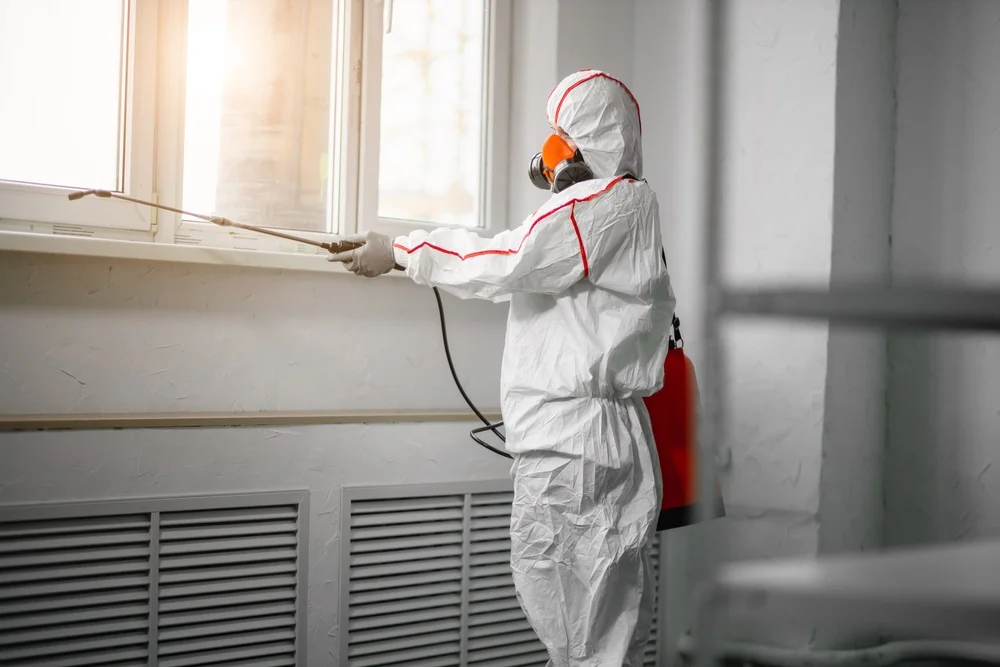 Professional mold remediation services in Santa Teresa, NM